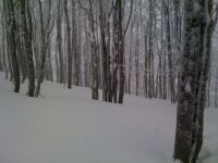 IMG_0647.jpg
